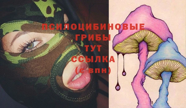 тгк Каменск-Шахтинский