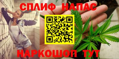 ешки Гай