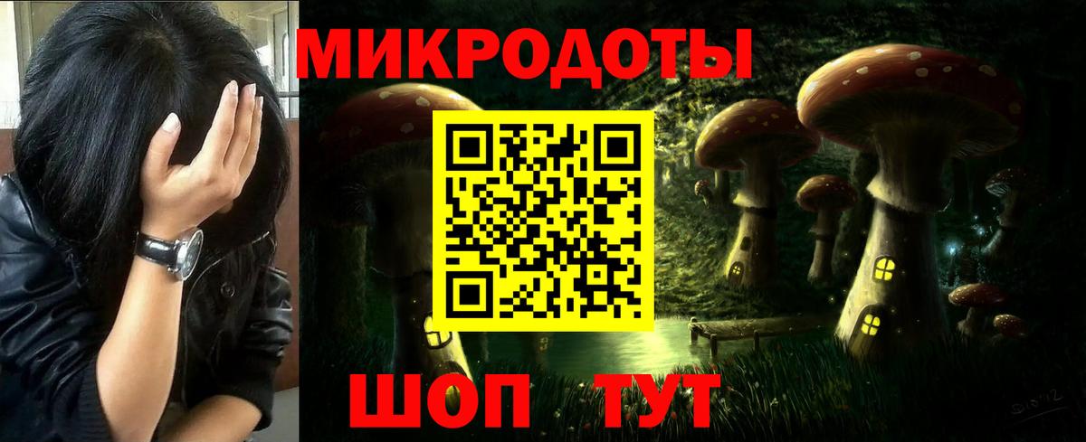 Псилоцибиновые грибы мицелий  Хабаровск  Псилоцибиновые грибы GOLDEN TEACHER 